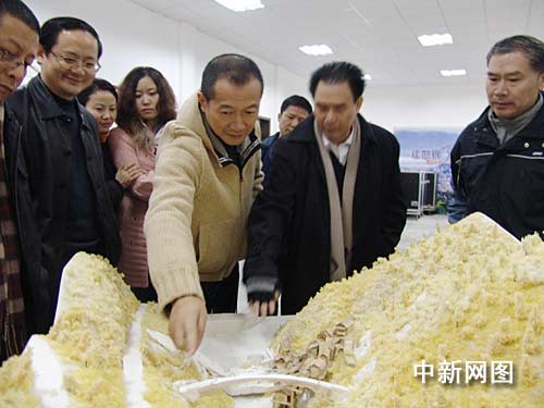 �T���H�R���ҽ����Tɽ�錍���ݳ��������`��