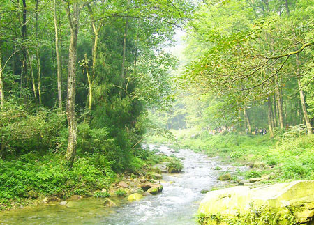 金鞭溪景區(qū)